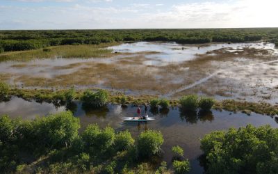 La moustiquaire de tête : parfaite pour vos randonnées en zones infestées